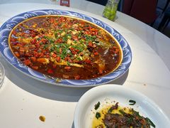 -新概念来凤鱼(璧山店)