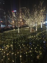 -FineYoga梵音瑜伽·普拉提