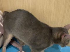 -美迦爱-牙专科·兔科·骨科诊疗中心(北苑店)