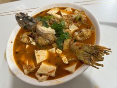 -煲来饱去冷水鱼