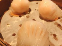 -皇朝会.经典传统粤菜(外滩店)