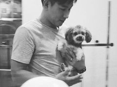 -momokira米努特·德文卷毛猫·棉花面纱犬