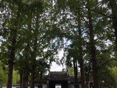 -包公祠