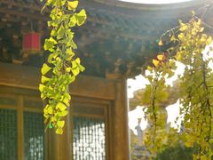 -上海东林寺(金山区)