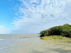 -上海吴淞炮台湾国家湿地公园