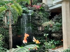 -广州白天鹅宾馆