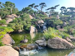 -罗红摄影艺术馆