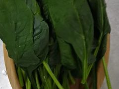 -慢丽江·云南野生菌土鸡锅(付家庄店)