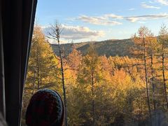 -莫尔道嘎国家森林公园