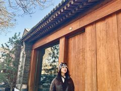 -北京国子监胡同