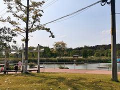 -佛手湖郊野公园