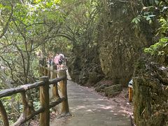 -马岭河峡谷风景区