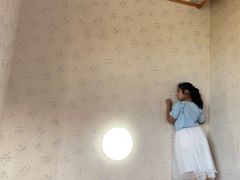 -金山农民画村-枫泾波兰倒置屋