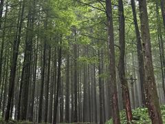 -山王坪喀斯特国家生态公园