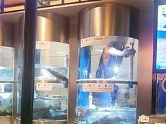 -老船舫·现做活鲜鱼馆(东郊记忆店)