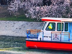-桃花堤公园