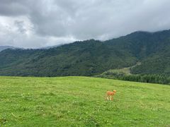 -硗碛藏寨·神木垒景区