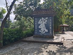 -靖西鹅泉风景区