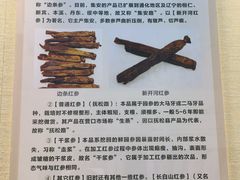 -广东中医药博物馆