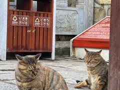 -终南山南五台景区