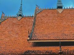 -西双版纳傣族园