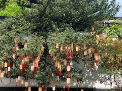 -东山雕花楼