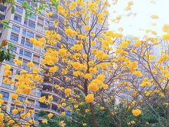 -碧桂园十里银滩