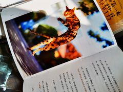 -思南书局(复兴中路店)