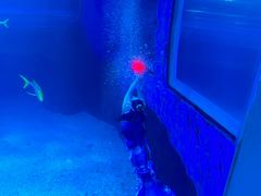 -太平洋海底世界