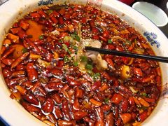 -陈麻婆豆腐总店