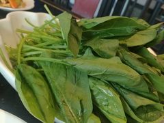 -四川仁火锅(军工店)