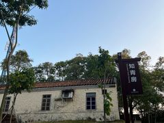 -东莞市大岭山森林公园