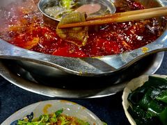 鲜毛肚-星鸿社重庆老火锅