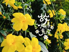 -白鹭湾湿地公园