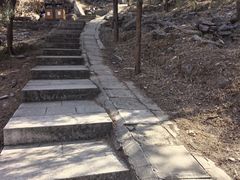 -北京十三陵国家森林公园蟒山景区