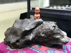 -志强陨石馆(双季花艺店)