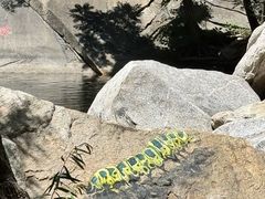 -黑龙潭风景区