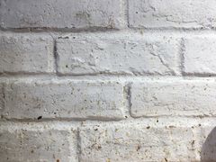 -拌面小当家