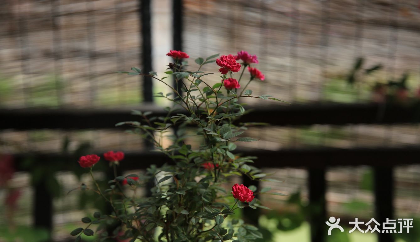 4块钱一块，用料很足，大家排队购买