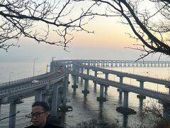 -星海湾跨海大桥