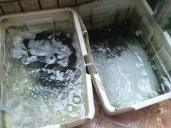 -稻香村鱼庄