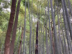 -杭州黄龙洞