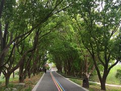 -同里国家湿地公园