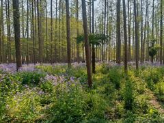 -上海交通大学(闵行校区)