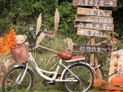 -HERRE·FARM 赫尔露营农场·团建聚会包场