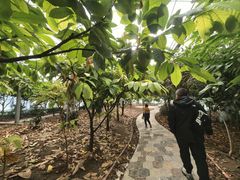 -歌斐颂巧克力小镇