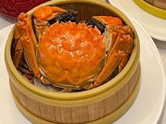 大闸蟹-长春净月潭喜来登酒店·盛宴标帜餐厅