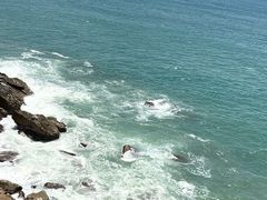 -广东惠东海龟国家级自然保护区