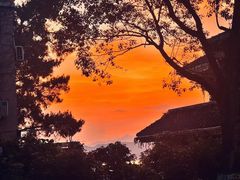 -千岛湖天屿景区