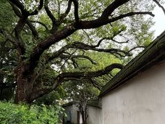 -乌山风景区